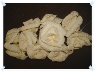 OTOP Product