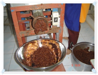 OTOP Product